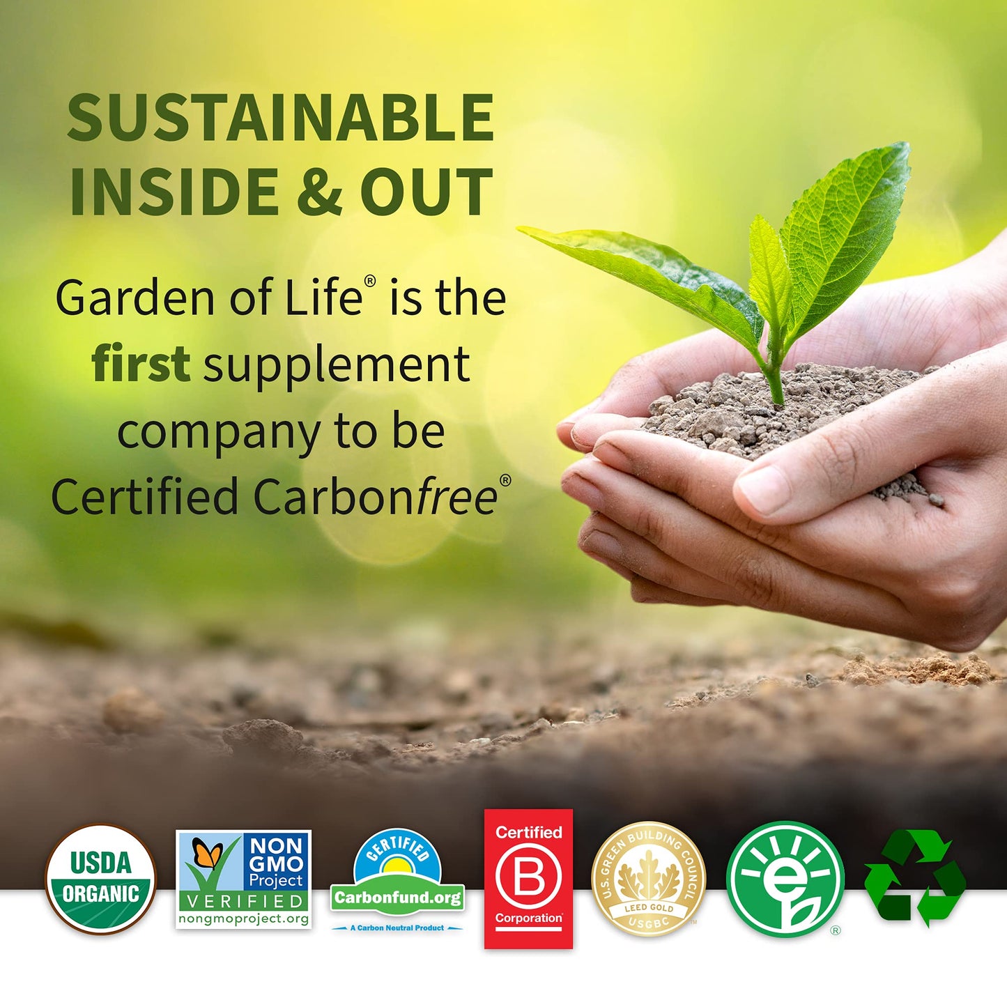 Garden of Life Raw Organic Fit Powder, Original - High Protein for Weight Loss (28g) Plus Garden of LifeBuy Supplements Australia