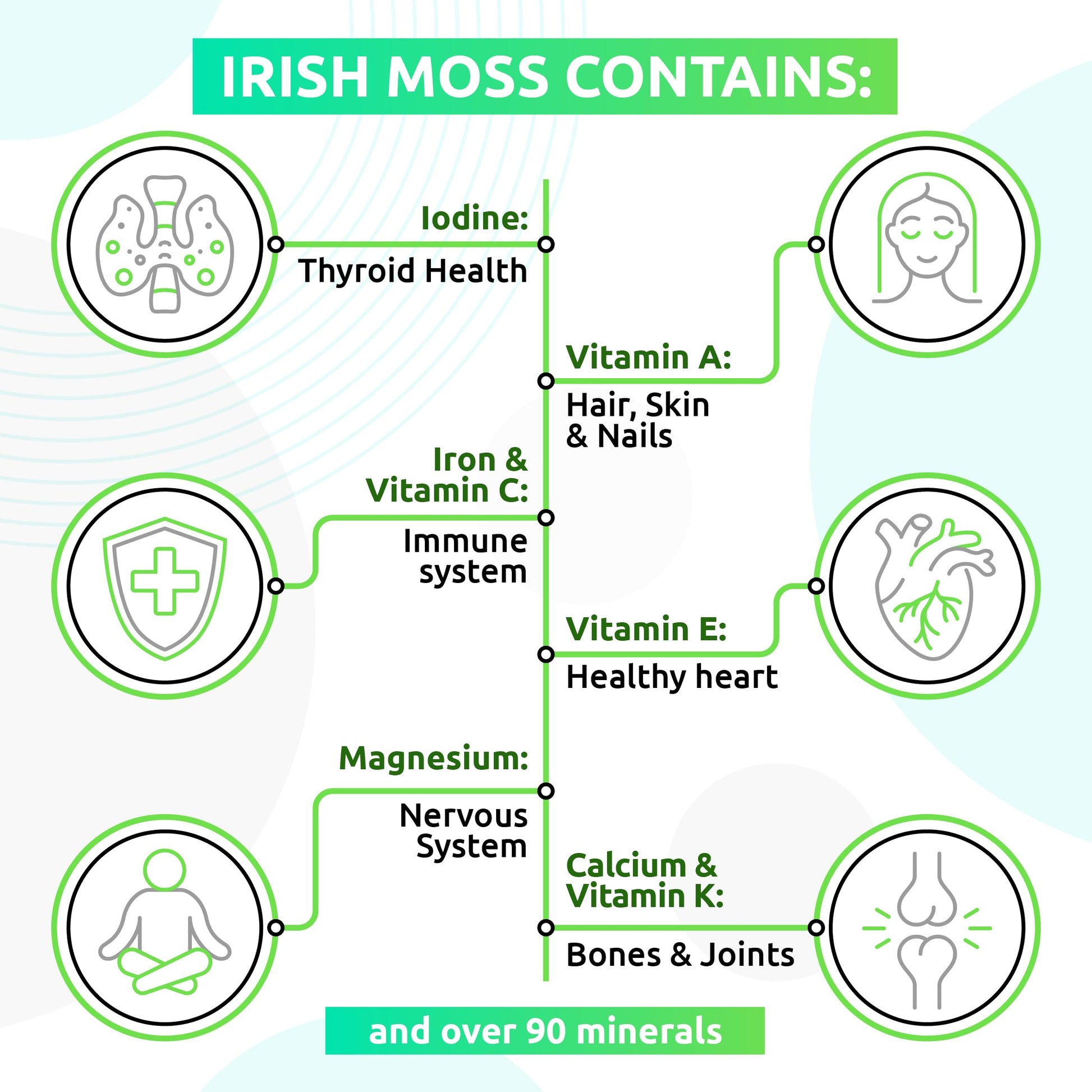 TrueSeaMoss Wildcrafted Irish Sea Moss Gel –7 Flavors- Nutritious Organic Raw TrueSeaMossBuy Supplements Australia