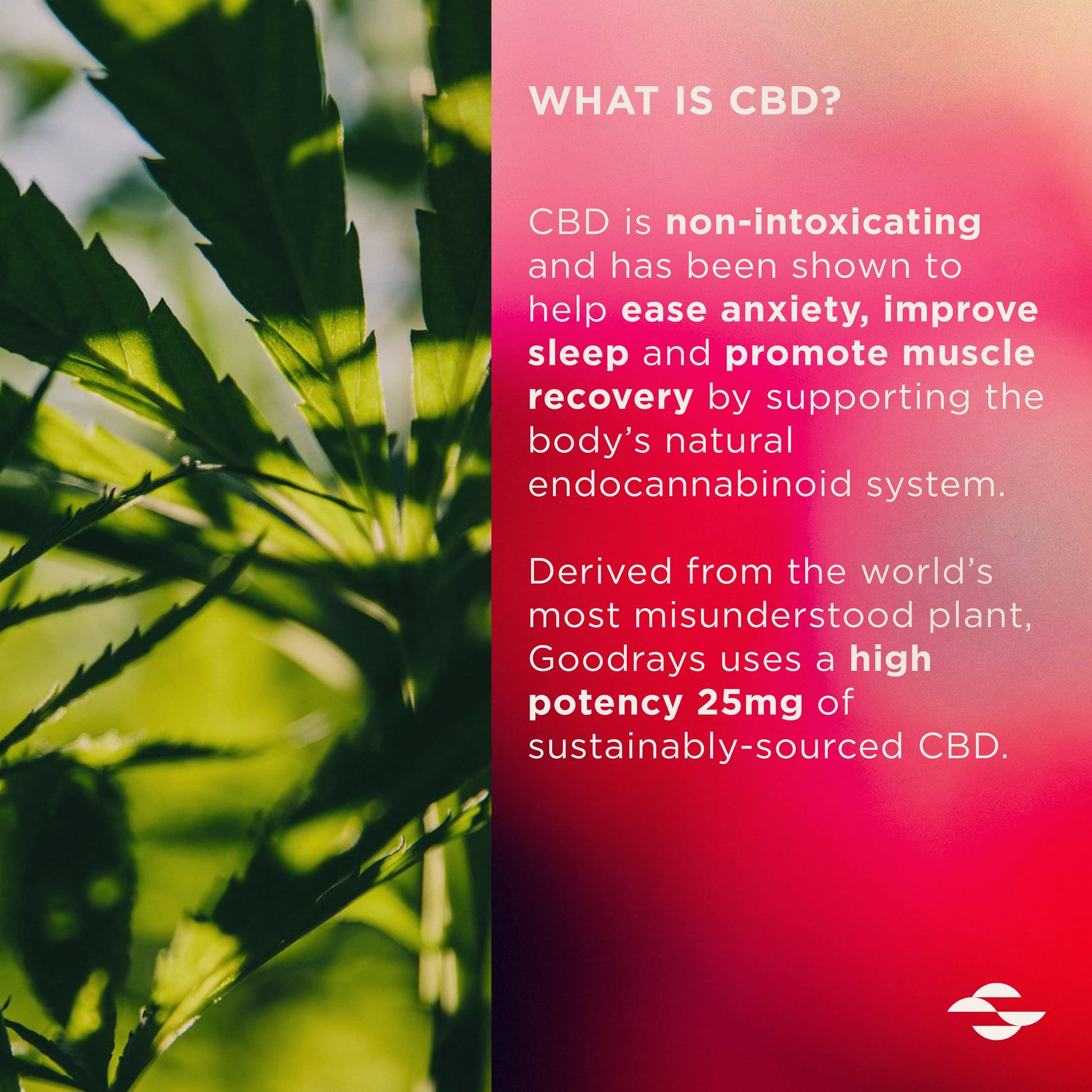 Goodrays - CBD Gummies - High Strength 30 x 25mg Mixed Fruits CBD Edibles GoodraysBuy Supplements Australia