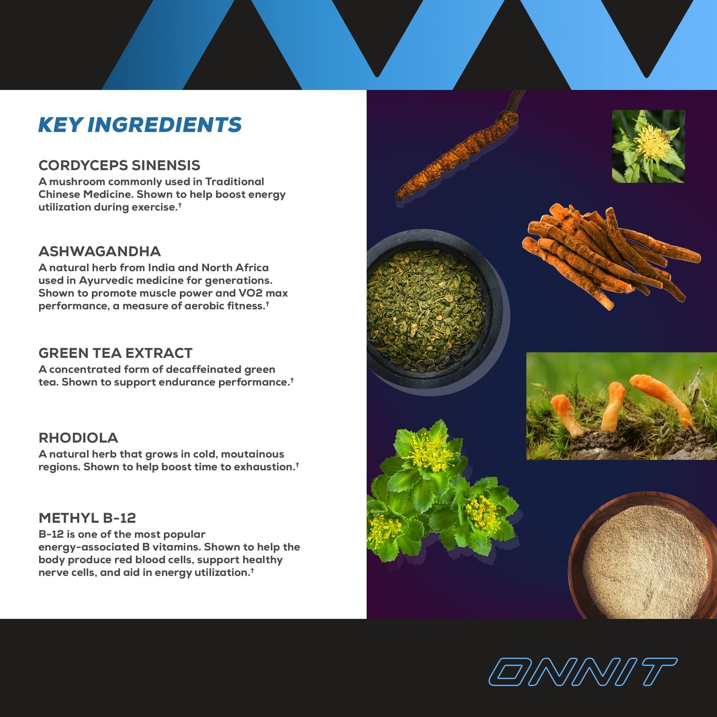 Onnit Shroom TECH Sport (84ct) | All Natural Pre-Workout Supplement with Ashwagandha ONNITBuy Supplements Australia