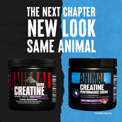 Animal Creatine Chews Tablets - Enhanced Creatine Monohydrate with AstraGin to Improve AnimalBuy Supplements Australia