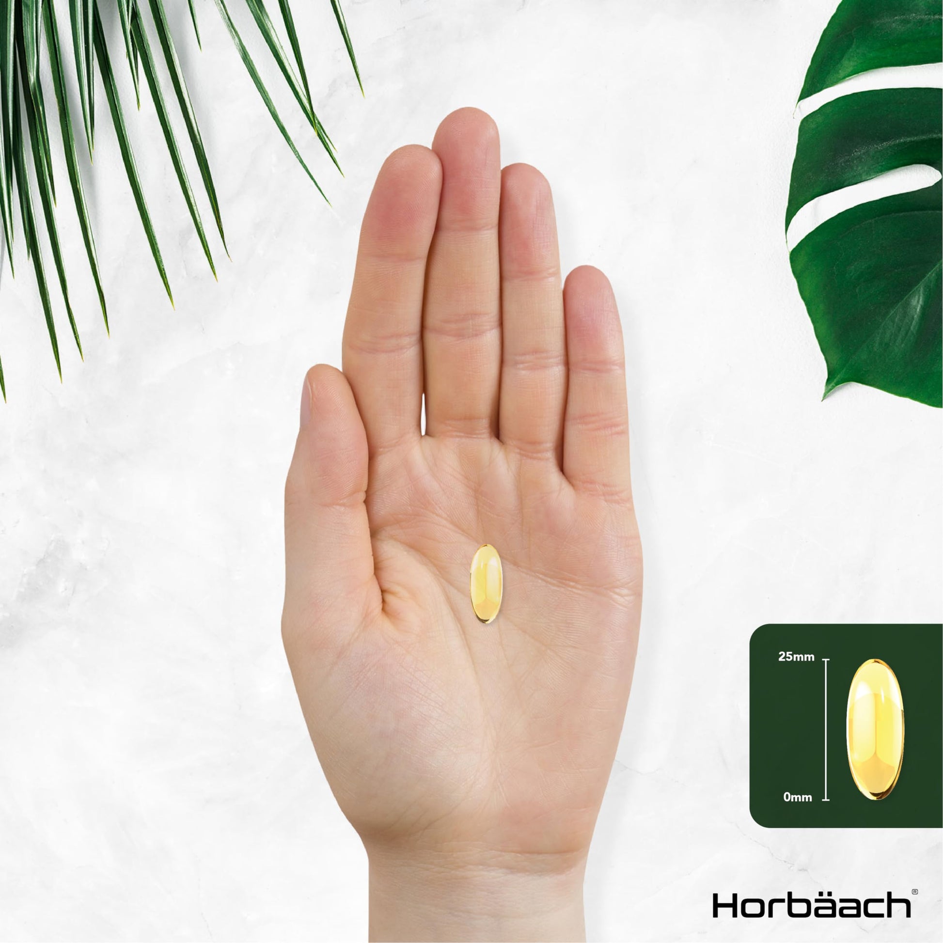 Omega 3 6 9 Capsules High Strength | 3000mg | 120 Softgels | Triple Omega 369 HorbäachBuy Supplements Australia
