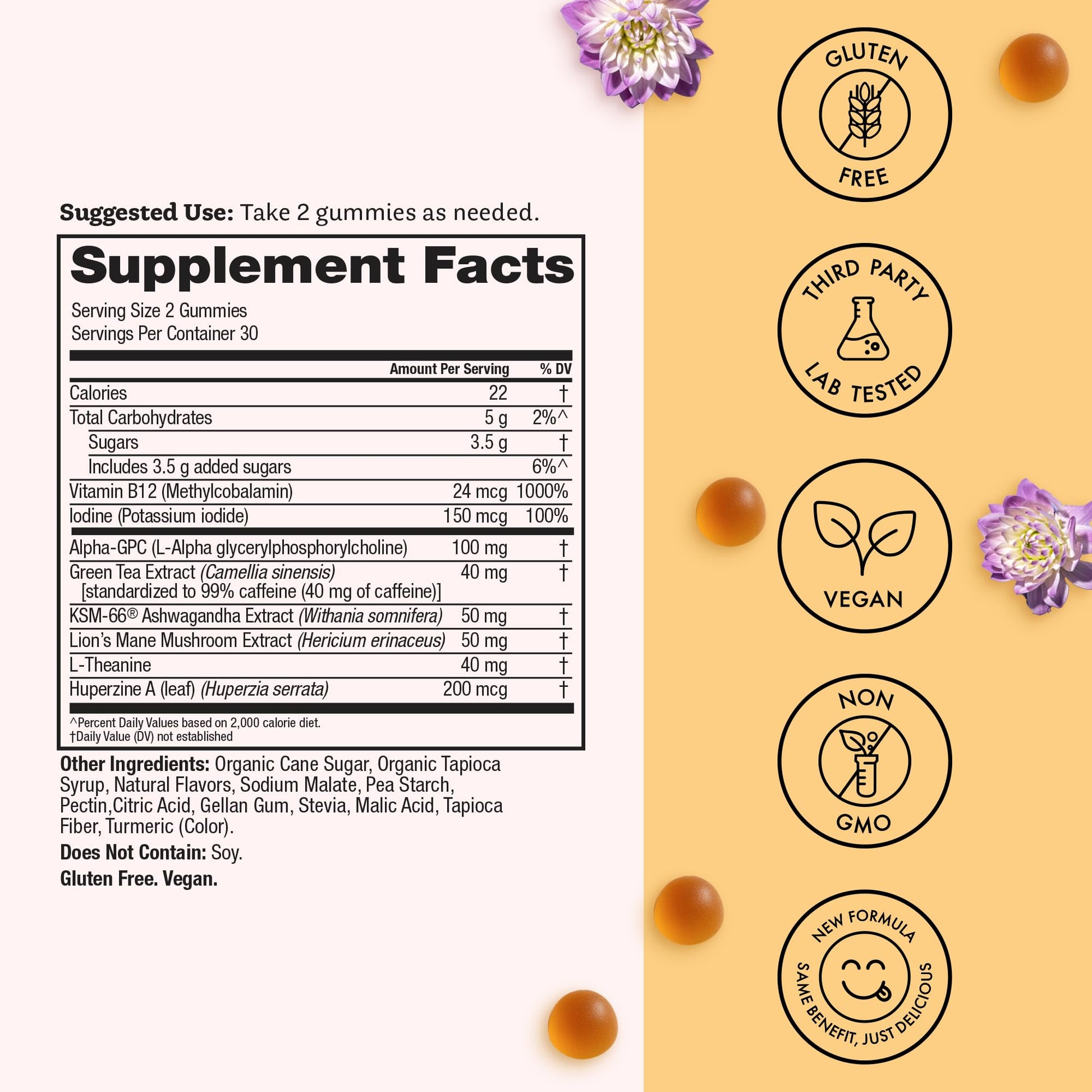 Winged Wellness Rise Up, Energy & Focus Gummies for Women - Daily Brain Boost Gummy Supplement with Natural Caffeine, Ashwagandha, B12, Nootropics Alpha-GPC & Lion’s Mane - Pineapple, 60 Gummies Winged WellnessBuy Supplements Australia
