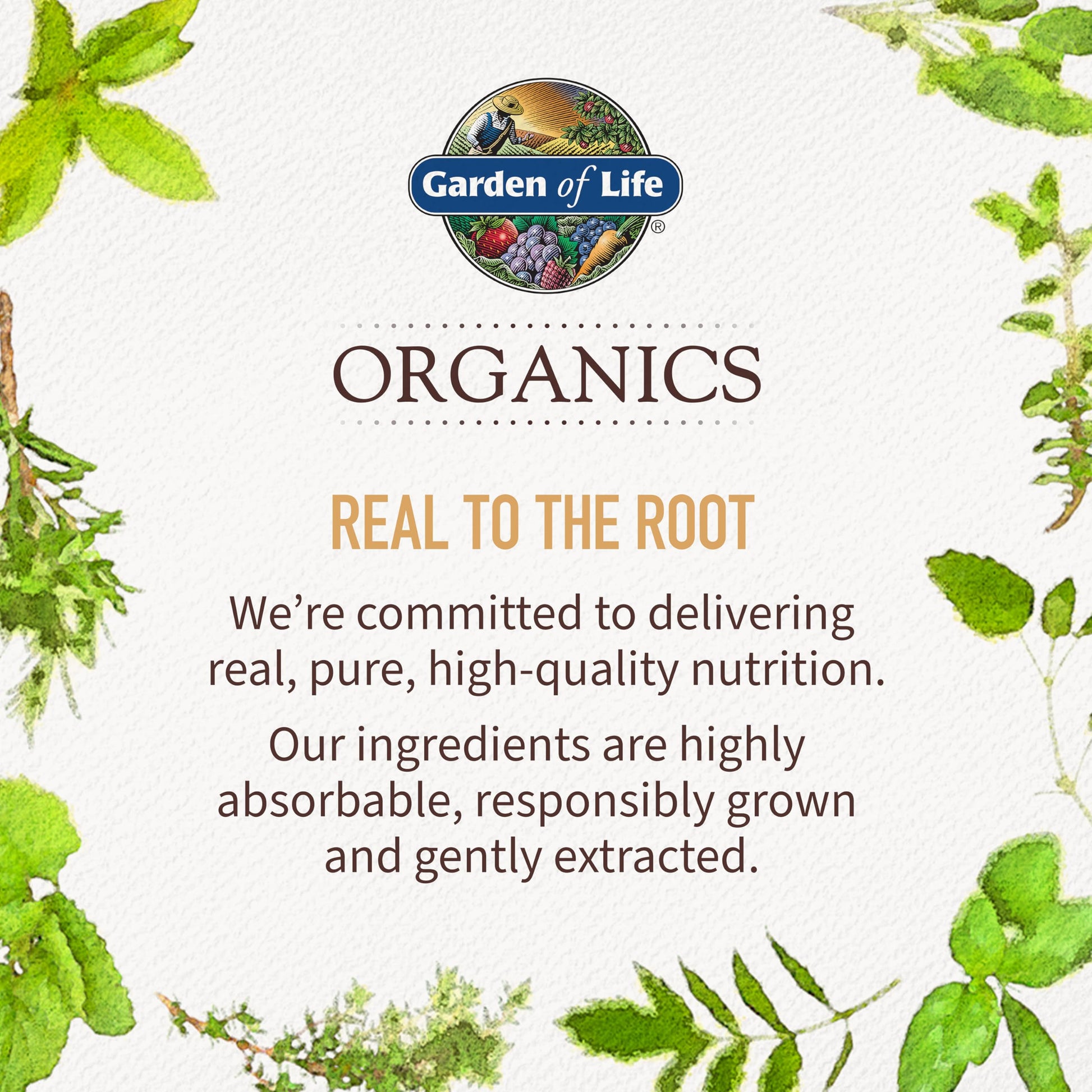 Garden of Life Organics Adrenal Daily Balance, Adaptogenic Herbs Ashwagandha, Holy Basil, B Complex & Probiotics, Organic Non-GMO, Vegan, Gluten Free Supplement, Two Month Supply, 120 Tablets Garden of LifeBuy Supplements Australia
