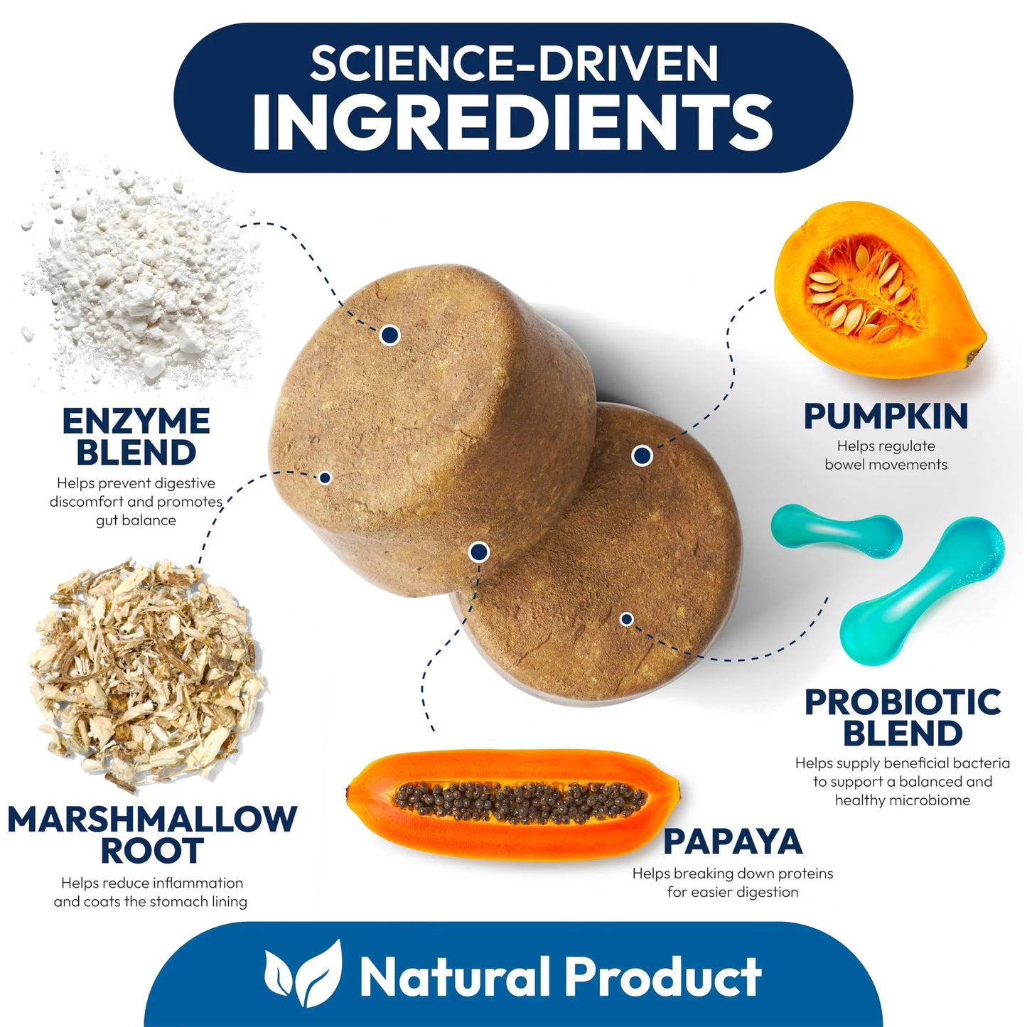 Probiotics for Dogs - 170 Dog Probiotics Chews - Digestive Enzymes & Prebiotics - Support Gut Health, Diarrhea, Gas & Constipation Relief - Itchy Skin, Allergies, Yeast Balance - Advanced Supplement Petsology buy supplements Au