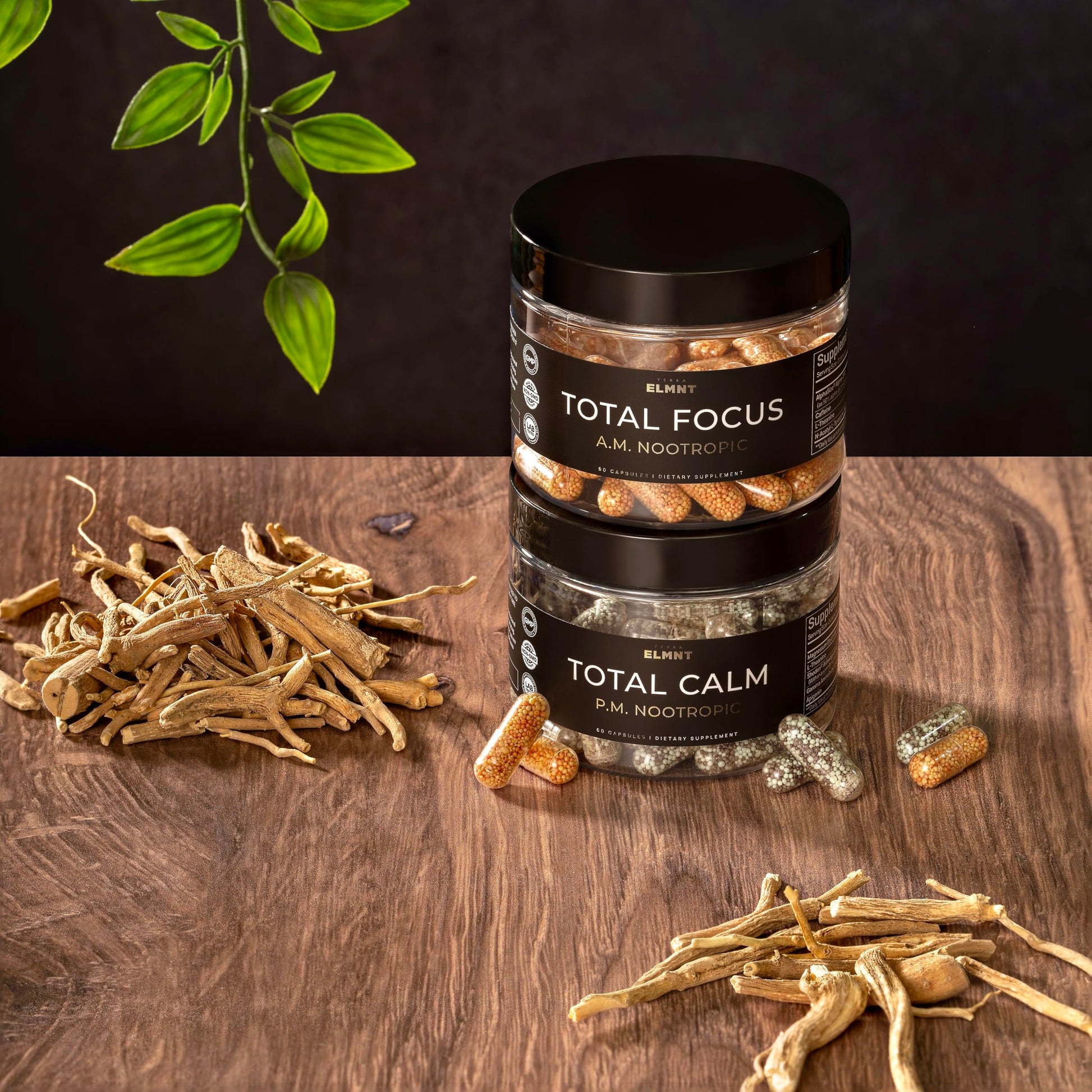AMPM Nootropic Total Focus + Calm 9X Strength w. Caffeine, L-Theanine, Alpha GPC, L-Tyrosine, Ashwagandha - X-Release Energy Pills Nootropics Brain Support Supplements for Memory and Focus Supplement TERRA ELMNTBuy Supplements Australia