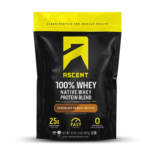 Ascent 100% Whey Protein Powder - Post Workout Whey Protein Isolate, Zero Artificial - NutriGlobal