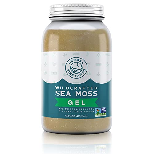 Herbal Vineyards Natural Organic Wildcrafted Gold Raw Sea Moss Gel for Immune Support - NutriGlobal
