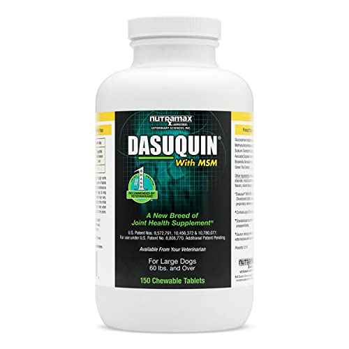 Nutramax Laboratories Dasuquin with MSM Joint Health Supplement for Large Dogs - NutriGlobal