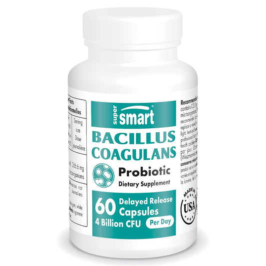 Supersmart - Bacillus Coagulans Probiotic 4 Billion CFU per Day (High Absorption) - NutriGlobal